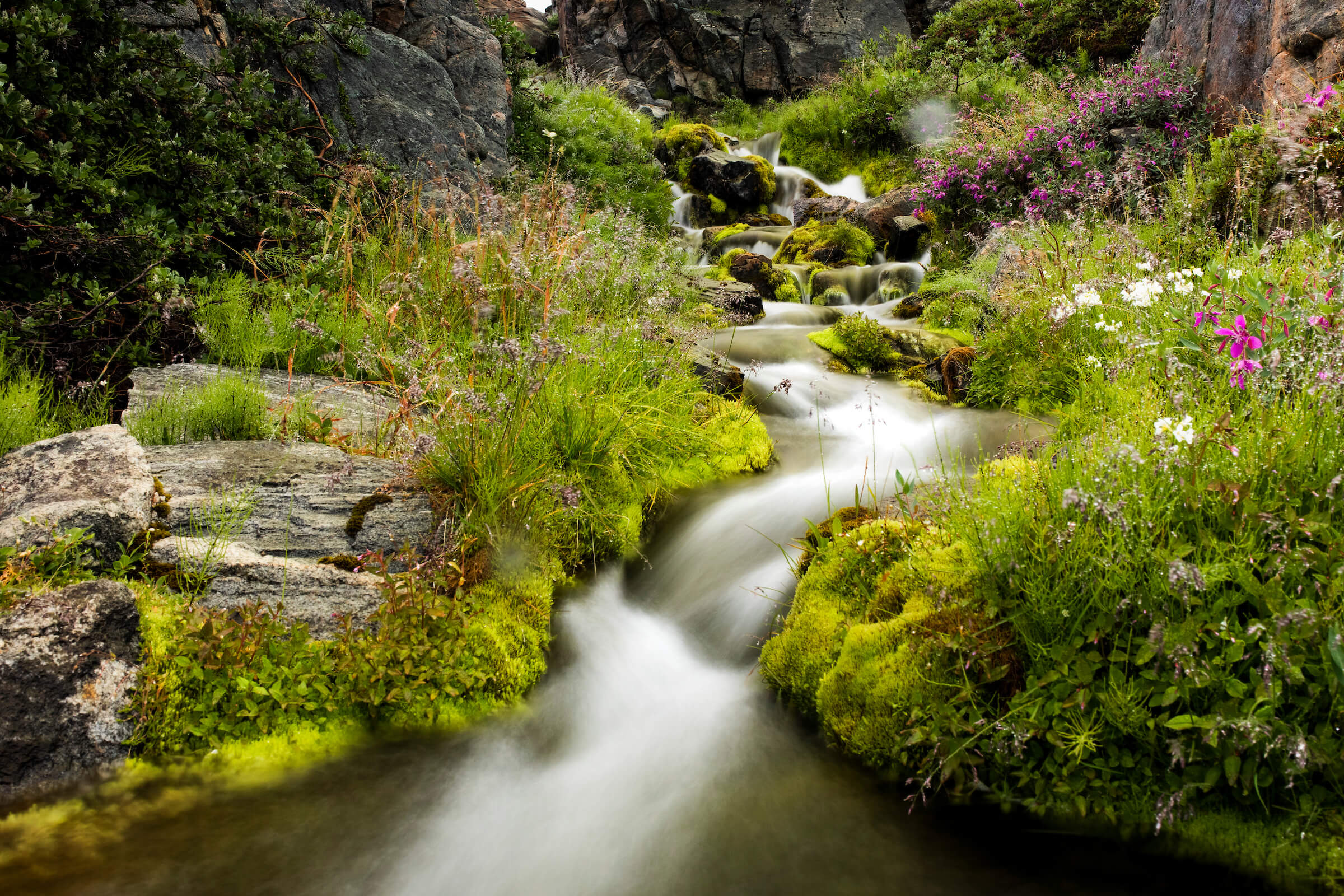 Flod på Disko Ø, Grønland. Foto: Aningaaq Rosing Carlsen / Visit Greenland